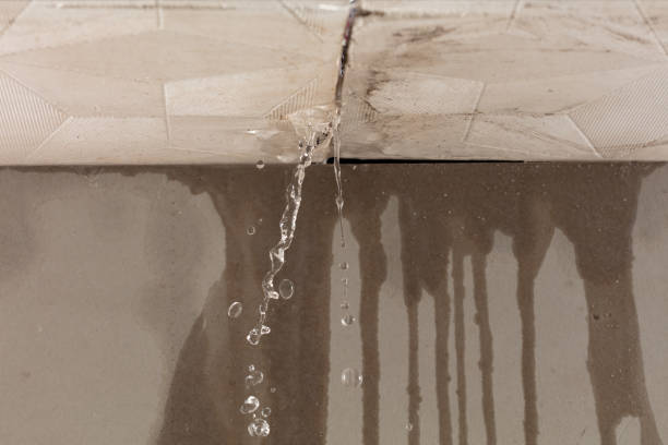 Professional Sewage Cleanup technician working in Centennial, WY